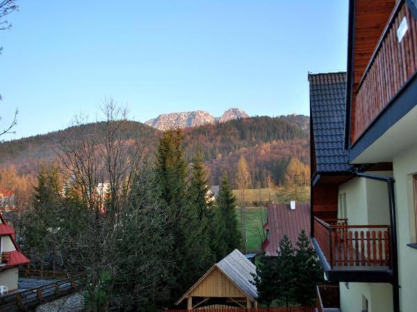 Apartament Domino - Krzeptowki 06 Zakopane Kültér fotó